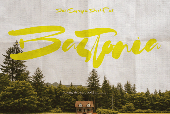 Bastonia Font Review